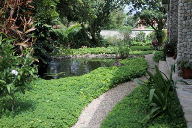 Zach's gardens in El Valle de Anton, Panama